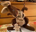 Norma B.'s Kanga & Roo before