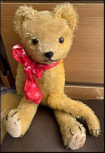 Nick B.'s Teddy before treatment