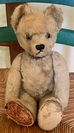 Nat F.'s Teddy before