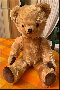 Nick G.'s Teddy after treatment