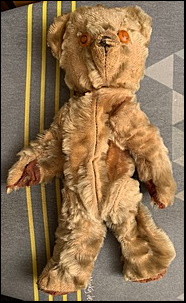 Nick G.'s Teddy before treatment