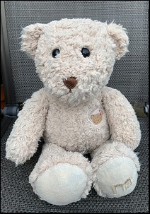 Nicola J.'s Teddy after treatment