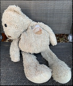 Nicola J.'s Teddy before treatment