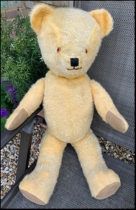 Naomi K.'s Teddy after treatment