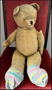 Naomi K.'s Teddy before treatment