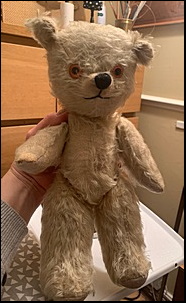 Anonymous Teddy