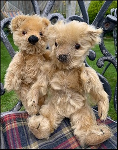 O. & D.A.'s teddies after treatment O. & D.A.'s teddies after treatment