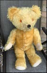 Pam C.'s Teddy Edwards after treatment