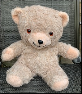 Paul G.'s Bear after treatment