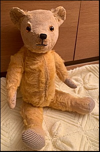 Pixie P.'s Teddy after