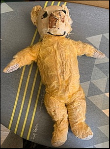 Pixie P.'s Teddy before