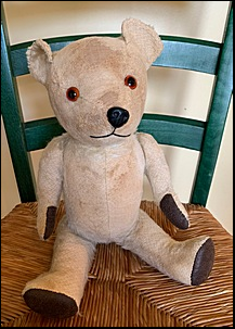 Peter T.'s 1st Teddy after