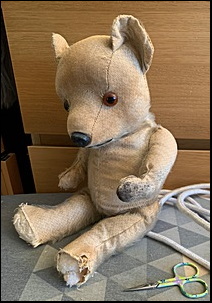 Peter T.'s 1st Teddy before