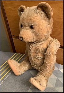 Peter T.'s 2nd Teddy before