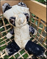 Panda before treatment