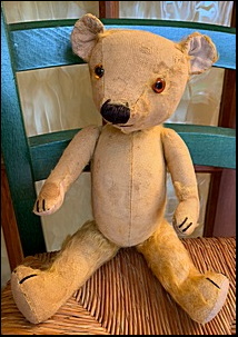 Pauline's Teddy after