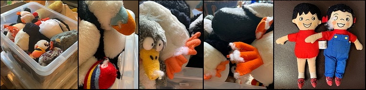Puffins & Co. before treatment Puffins & Co. before treatment