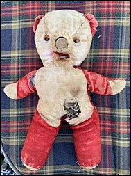 Red Ted before treatment