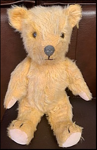 Steve B.'s Teddy after treatment