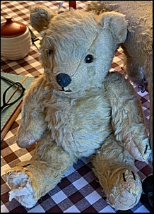 Steve B.'s Teddy before treatment