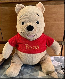 Sam D.'s Pooh Bear after treatment