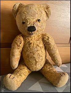 S.H.'s Teddy after