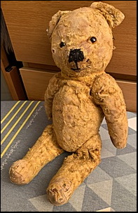 S.H.'s Teddy before