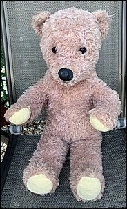 Sheila S.'s Teddy after treatment