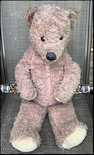 Sheila S.'s Teddy before treatment