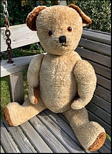 S.'s Big Ted after