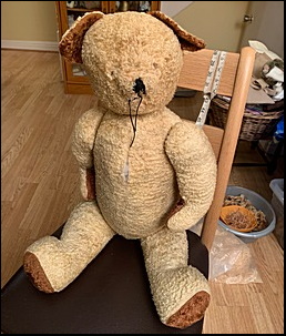 S.'s Big Ted before