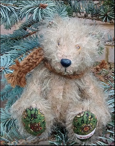 Sebastian in a fir tree
