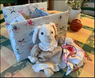 Sharon's Bunny ready to go home