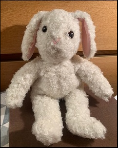 Sharon's Bunny after treatment