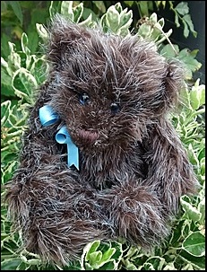 Future Teddies in a basket