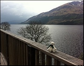 Sven on a Scottish loch