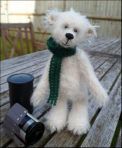 Sven on the garden table