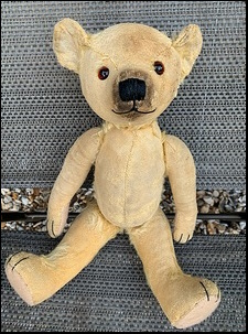 TB's Ted after treatment
