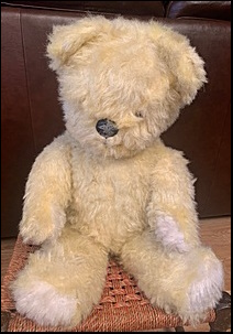 Traci W.'s Teddy after treatment