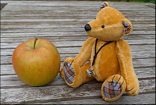Trevor the apple bear