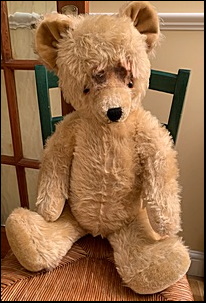 W.B.'s Teddy after