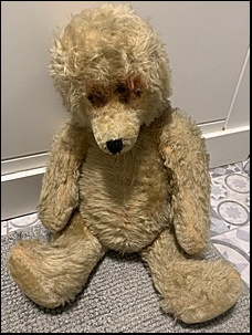 W.B.'s Teddy before