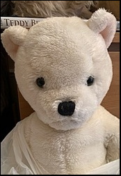 White Teddy